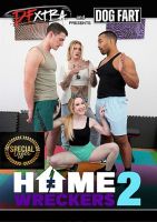 DFX Home Wreckers #2 - Interracial Porn