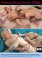 Grandma’s Lesbian Fun Special 