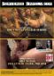 Perverse Family - Season #3 - 2 Disc #2