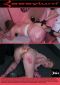 Rebel Rhyder Filth Studies 3-4