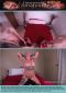 Desperate Amateurs 79