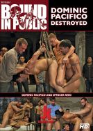Dominic Pacifico Destroyed
