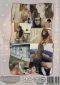 California Collegegirls Pooping 6
